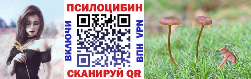 Галлюциногенные грибы Psilocybe  наркошоп  Руза 